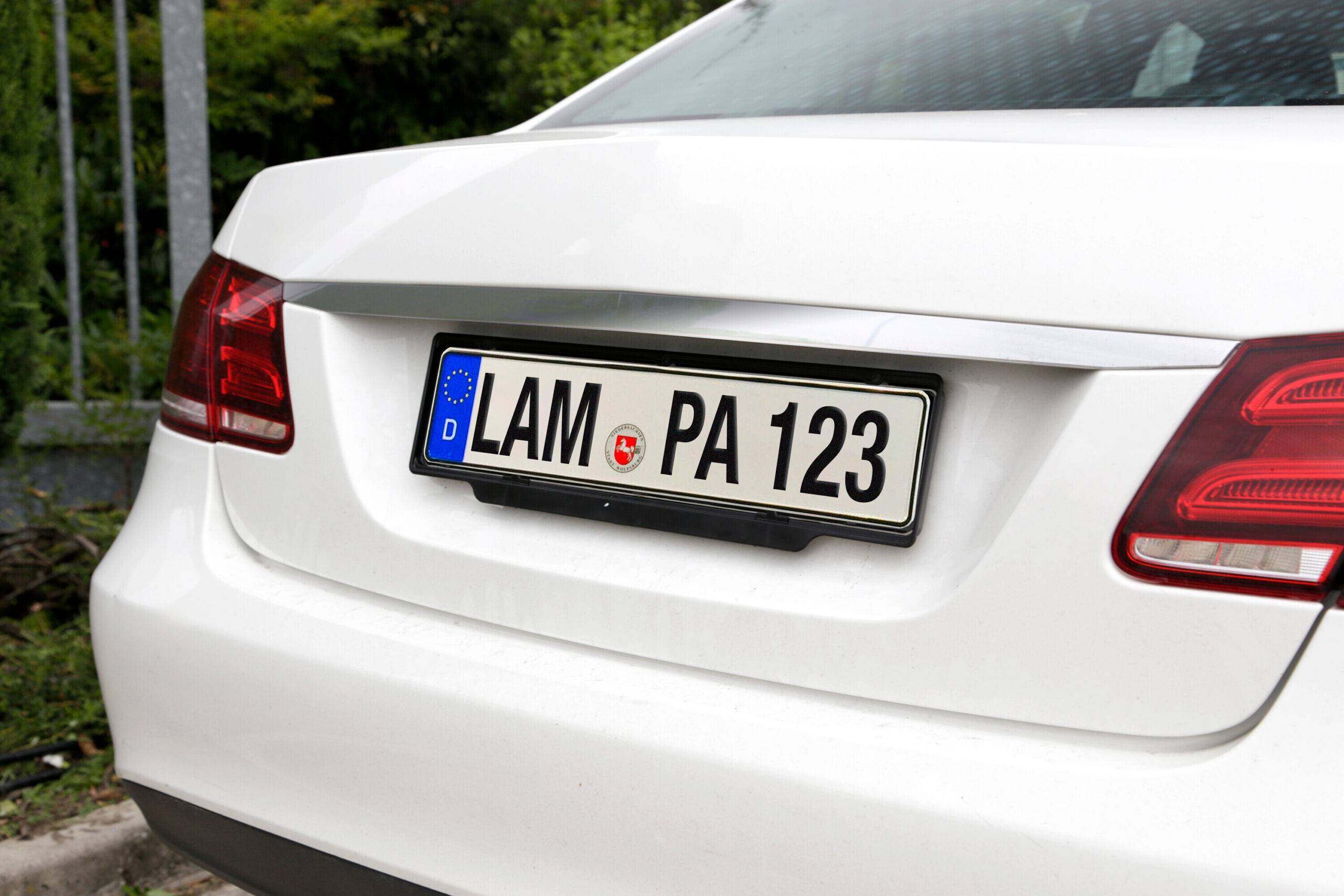 Portatarga posteriore Europeo universale - immagine 4