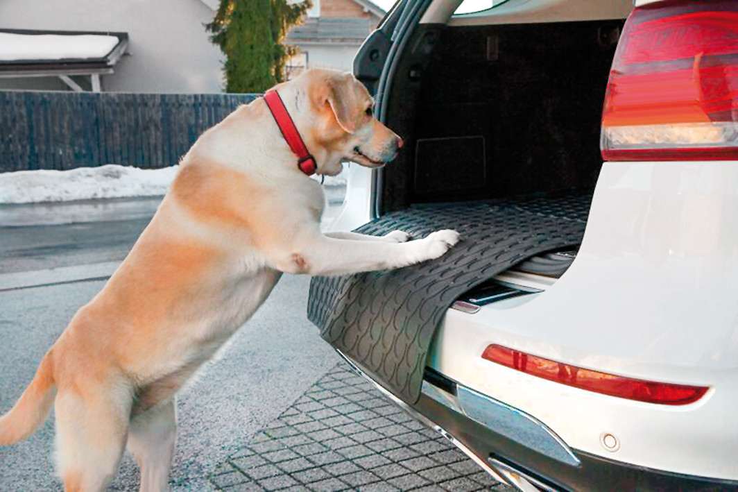 Estensione vasca baule - S - 75x65 cm - immagine 2