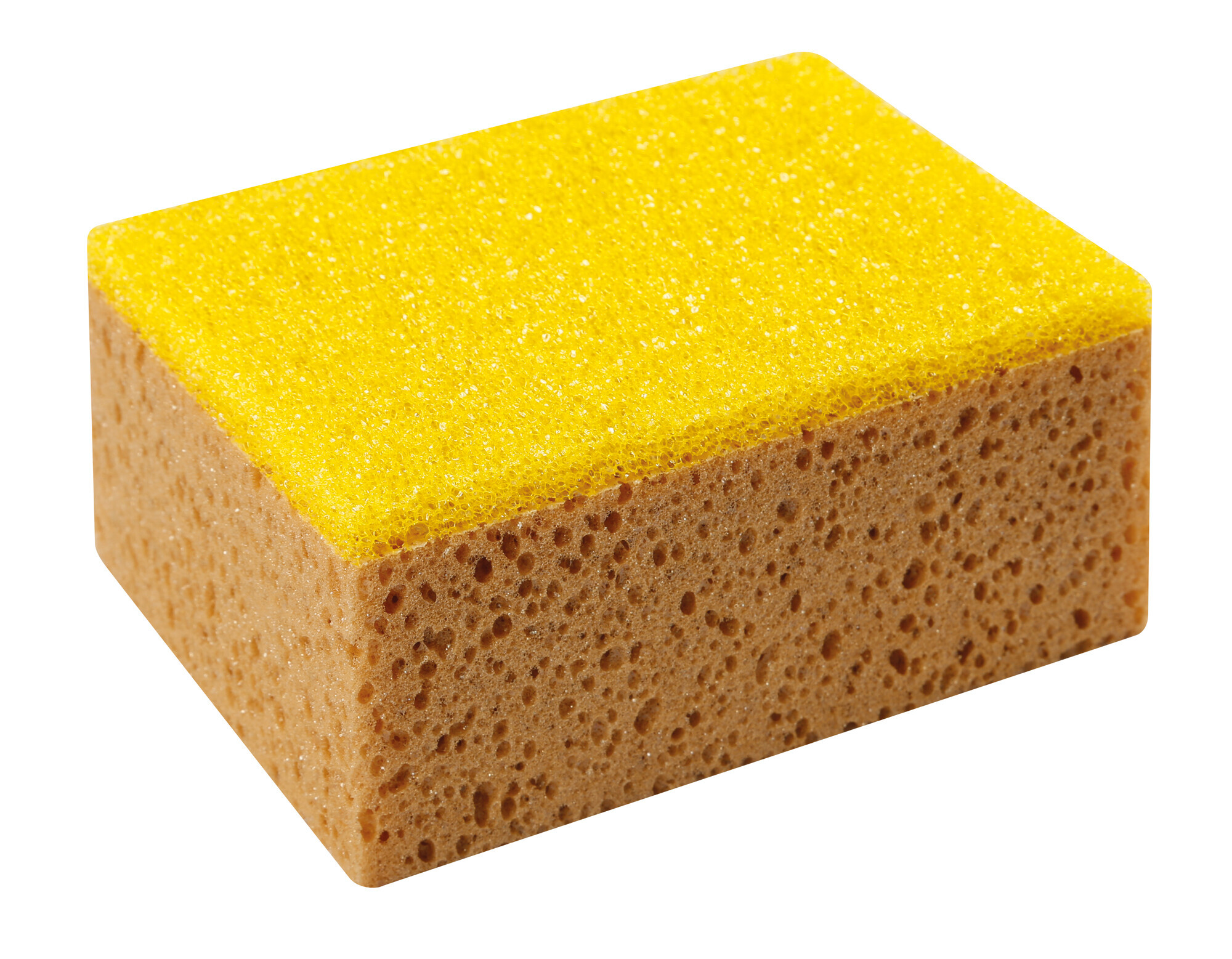 Kombi, doppia spugna - Confezione da 12 pezzi