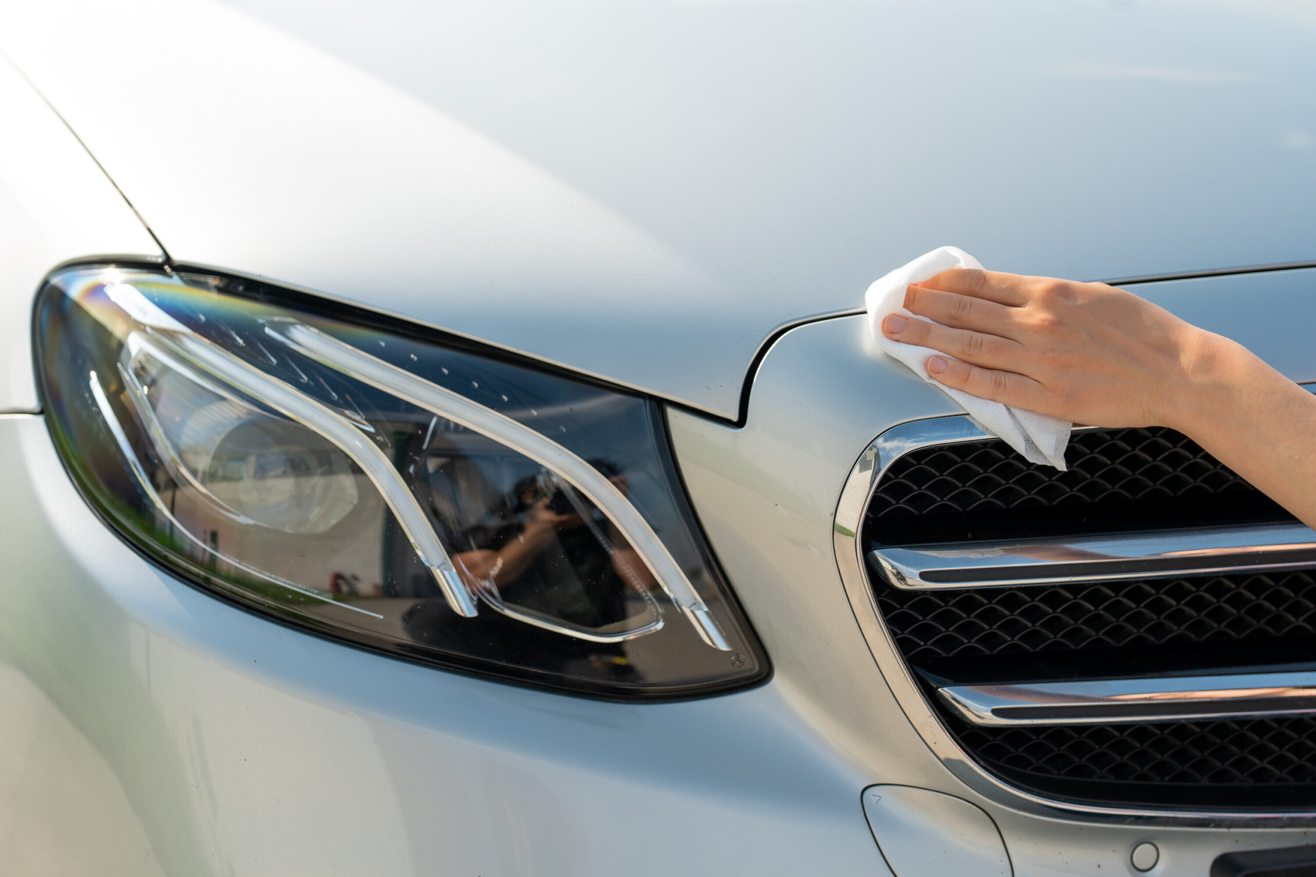 Panni umidificati rimuovi insetti e sporcizia - 24 pz - 24x22 cm - immagine 3