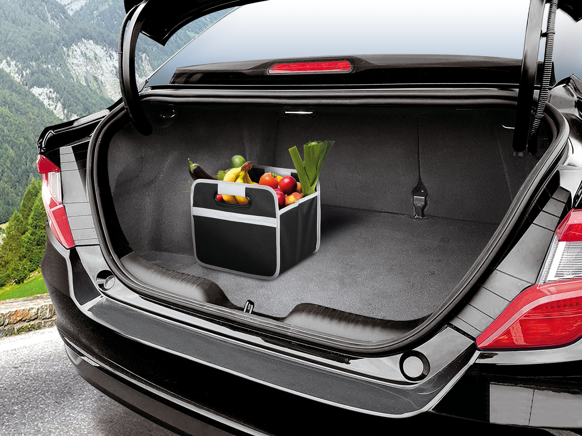 Shop & Store, organizer baule pieghevole - M - immagine 7