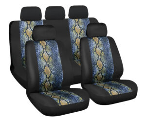 Reptile, set fodere coordinate