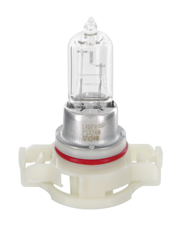 12V Lampada alogena - PSX24W - 24W - PG20-7 - 1 pz  - Scatola - Confezione da 10 pezzi