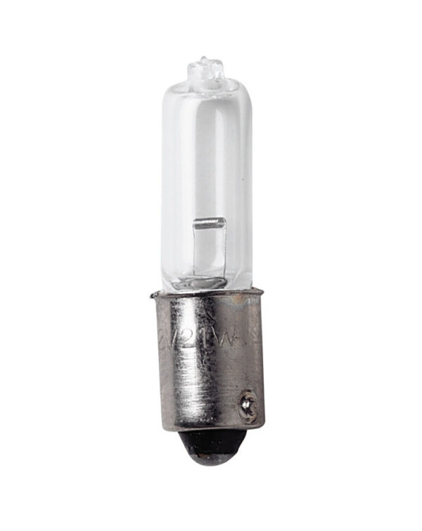 12V Lampada alogena micro - H21W - 21W - BAY9s - 2 pz  - Scatola