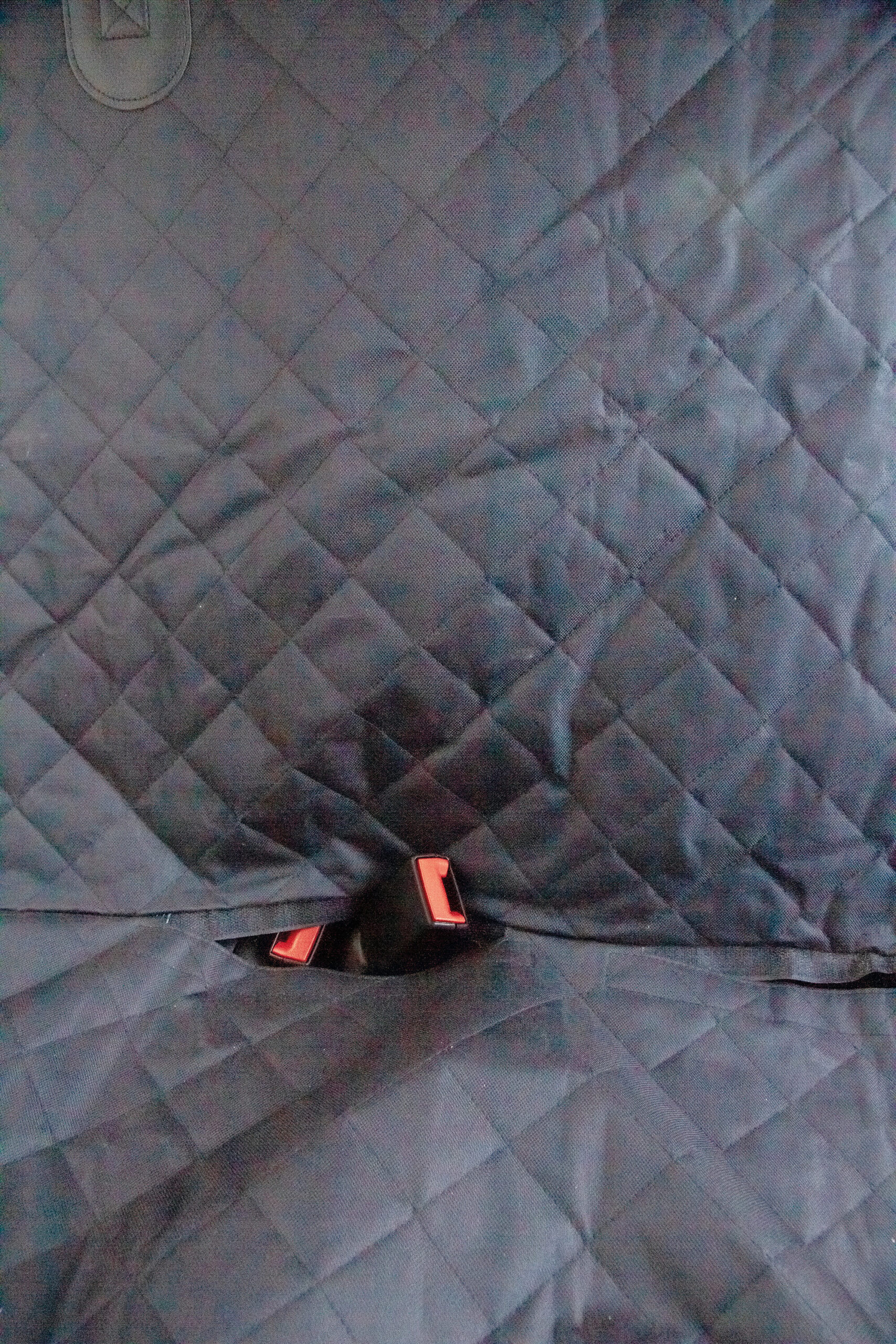 Total 4D, coprisedile protettivo posteriore - immagine 7