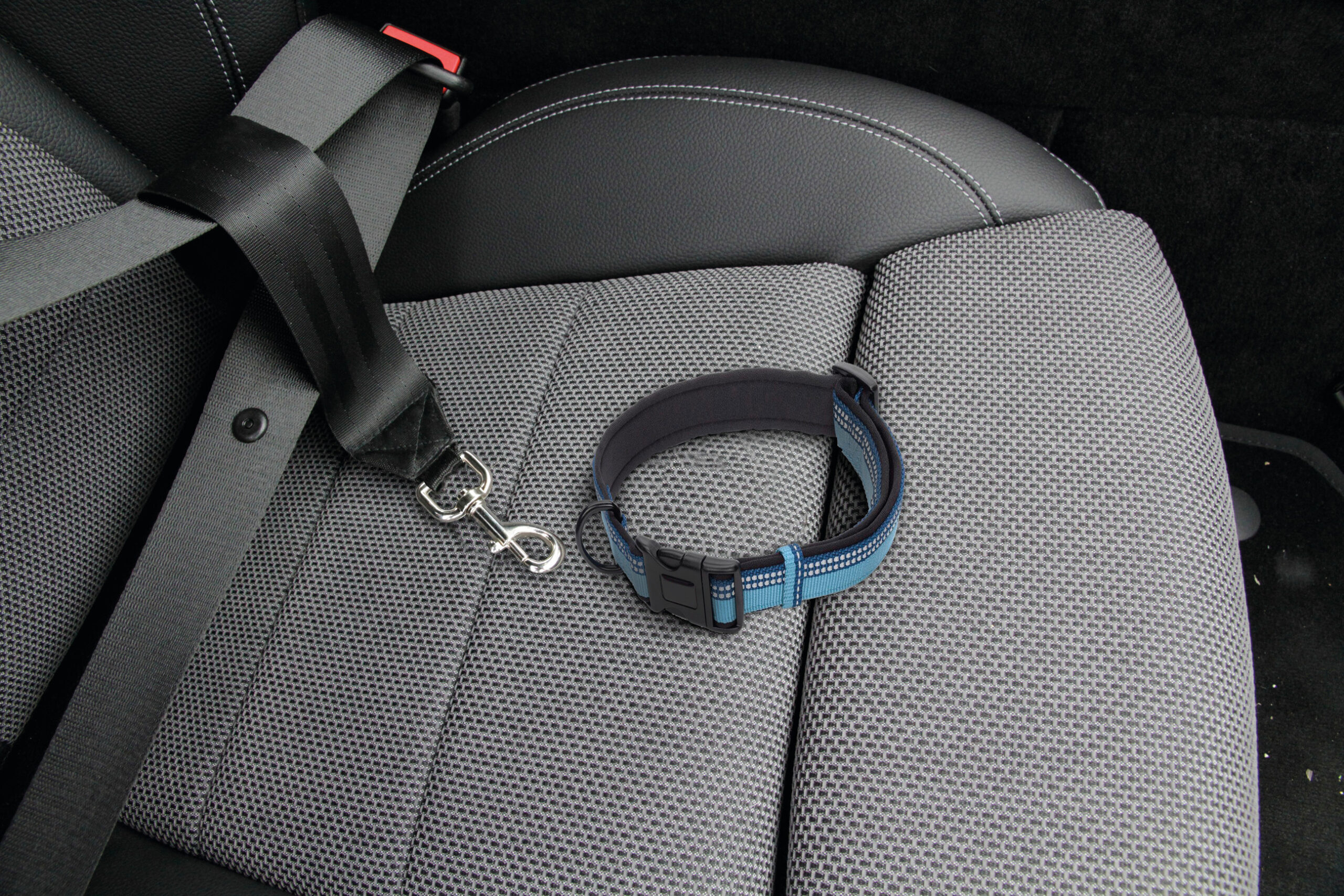 Cintura di sicurezza supplementare per pettorina o collare - immagine 3