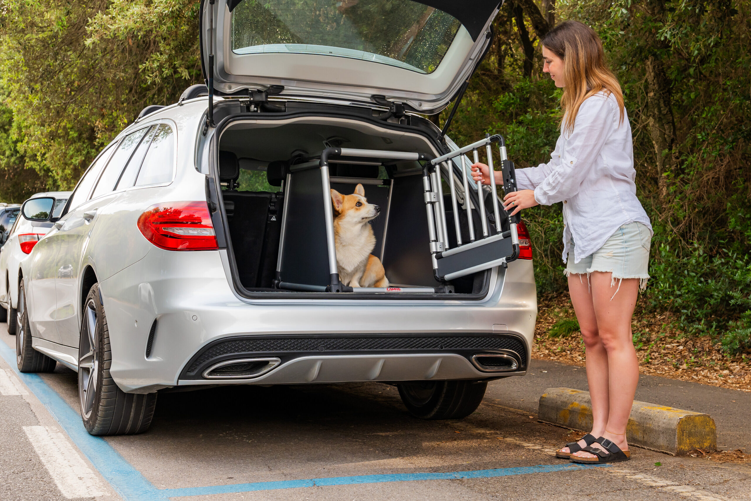 Premium, trasportino in lega di alluminio, specifico per il trasporto di animali in auto - Type 1 - 50 x 60 x H 55 cm - immagine 10