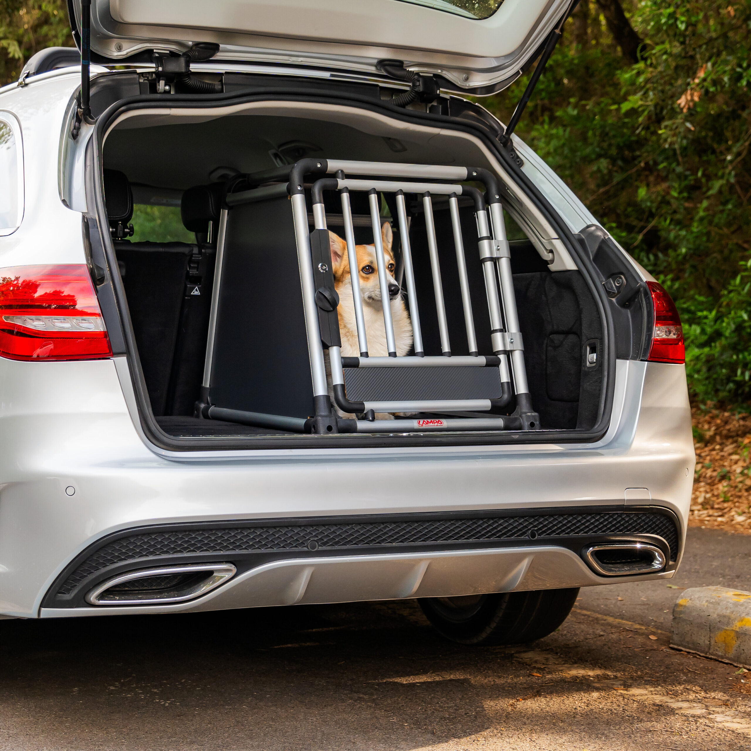 Premium, trasportino in lega di alluminio, specifico per il trasporto di animali in auto - Type 1 - 50 x 60 x H 55 cm - immagine 12