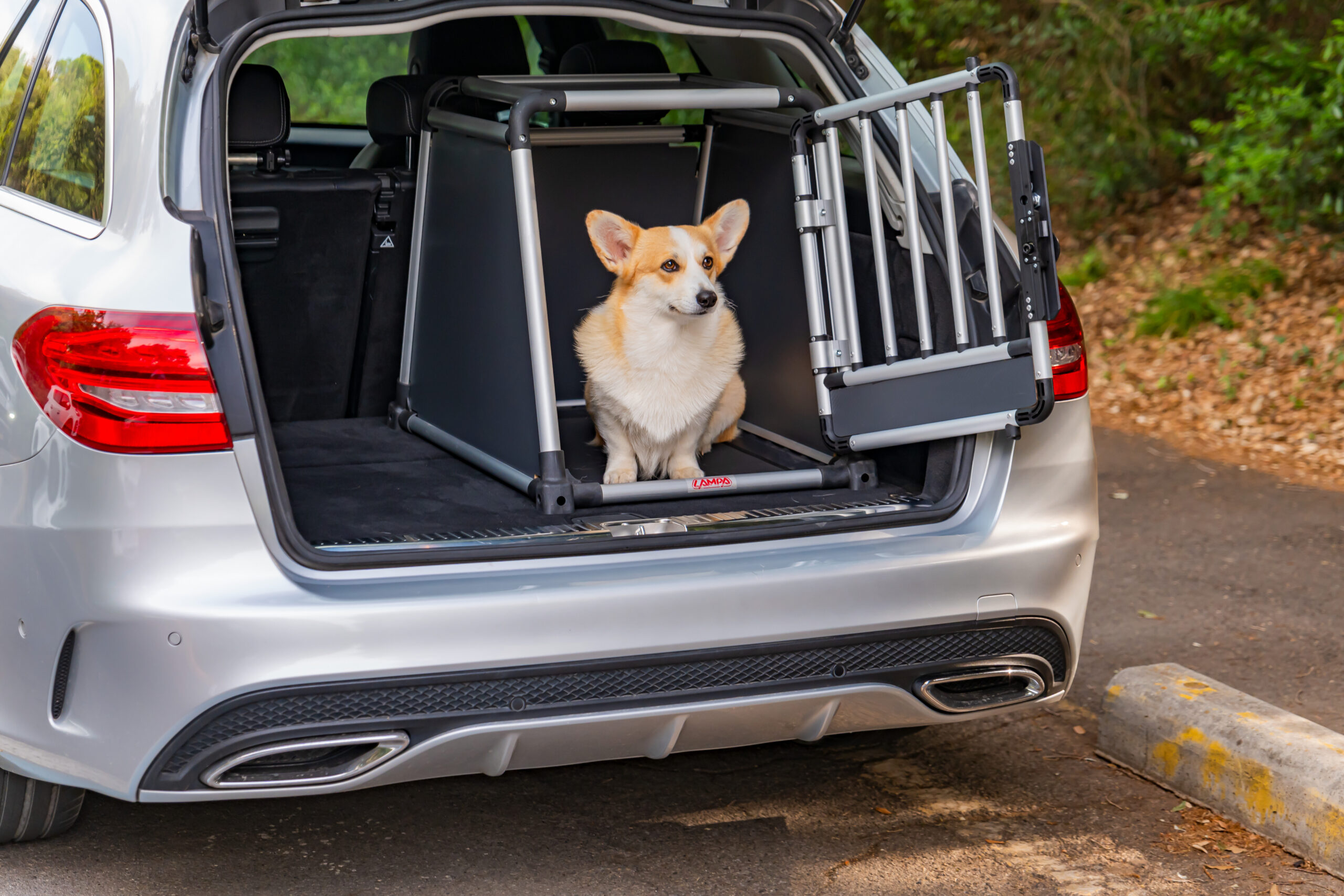 Premium, trasportino in lega di alluminio, specifico per il trasporto di animali in auto - Type 1 - 50 x 60 x H 55 cm - immagine 13