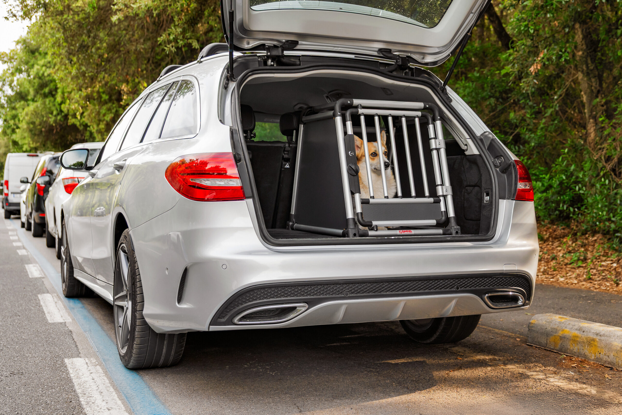 Premium, trasportino in lega di alluminio, specifico per il trasporto di animali in auto - Type 6 - 55 x 77 x H 60 cm - immagine 10