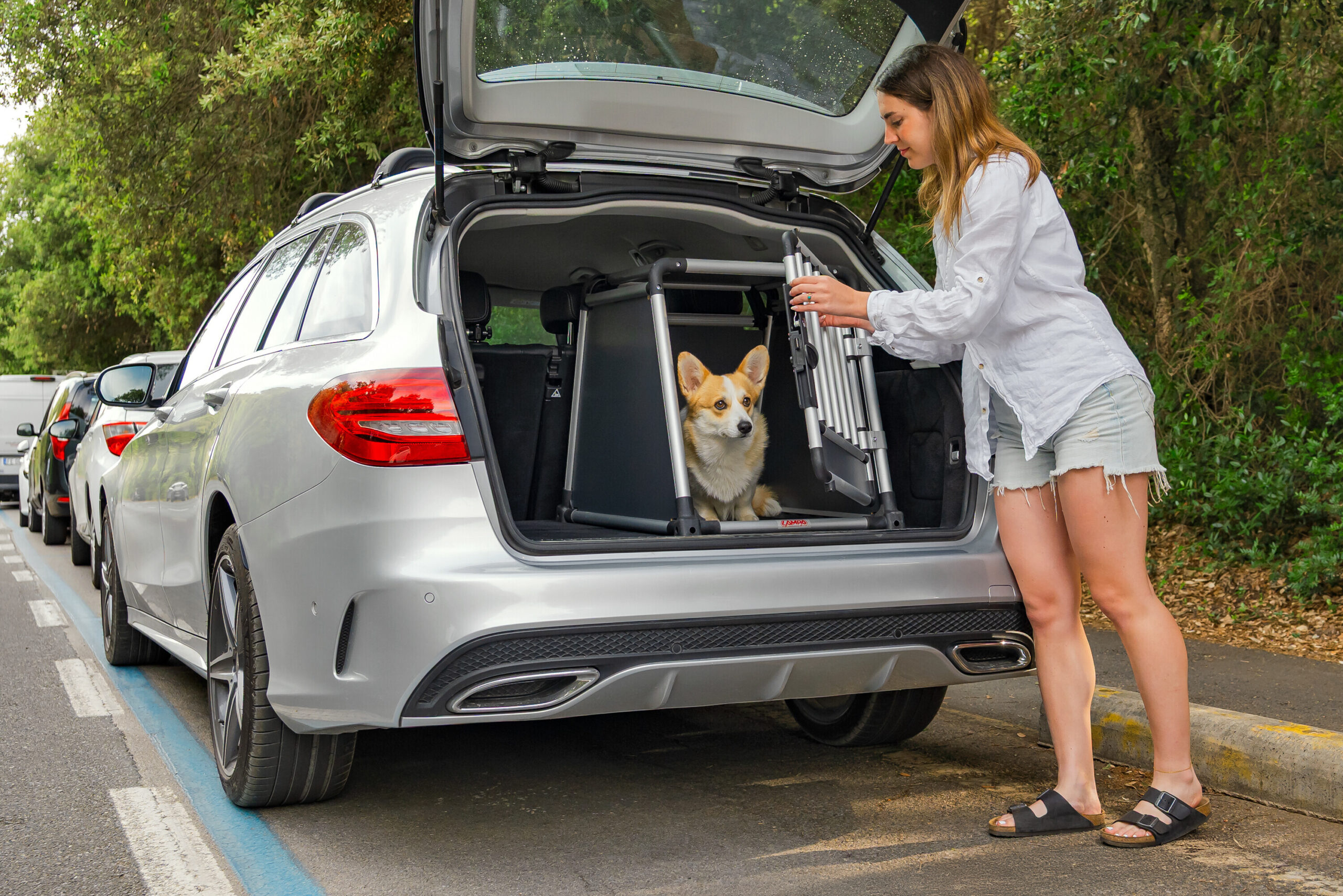 Premium, trasportino in lega di alluminio, specifico per il trasporto di animali in auto - Type 6 - 55 x 77 x H 60 cm - immagine 11