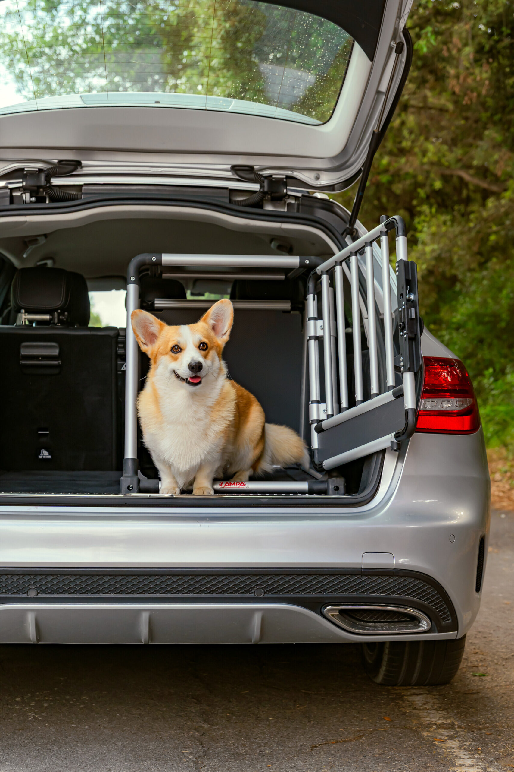 Premium, trasportino in lega di alluminio, specifico per il trasporto di animali in auto - Type 6 - 55 x 77 x H 60 cm - immagine 12