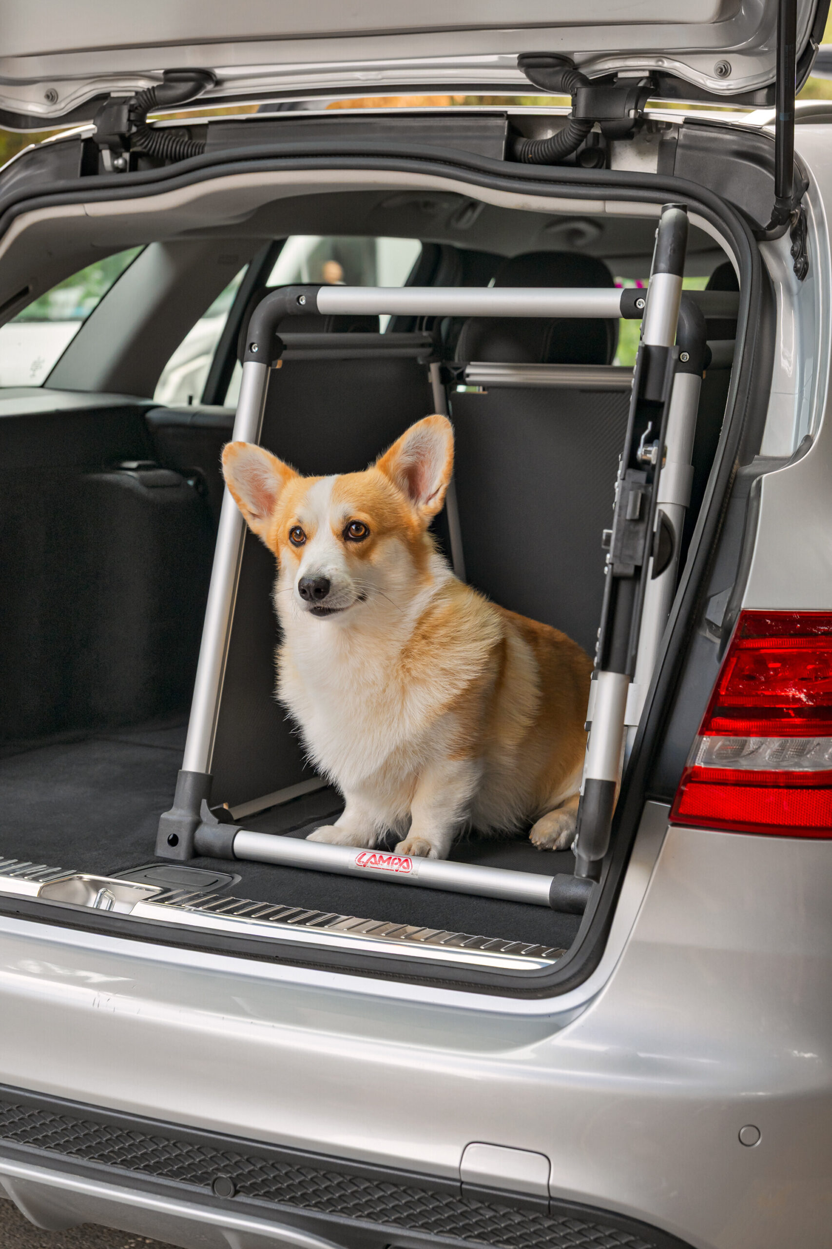 Premium, trasportino in lega di alluminio, specifico per il trasporto di animali in auto - Type 6 - 55 x 77 x H 60 cm - immagine 13