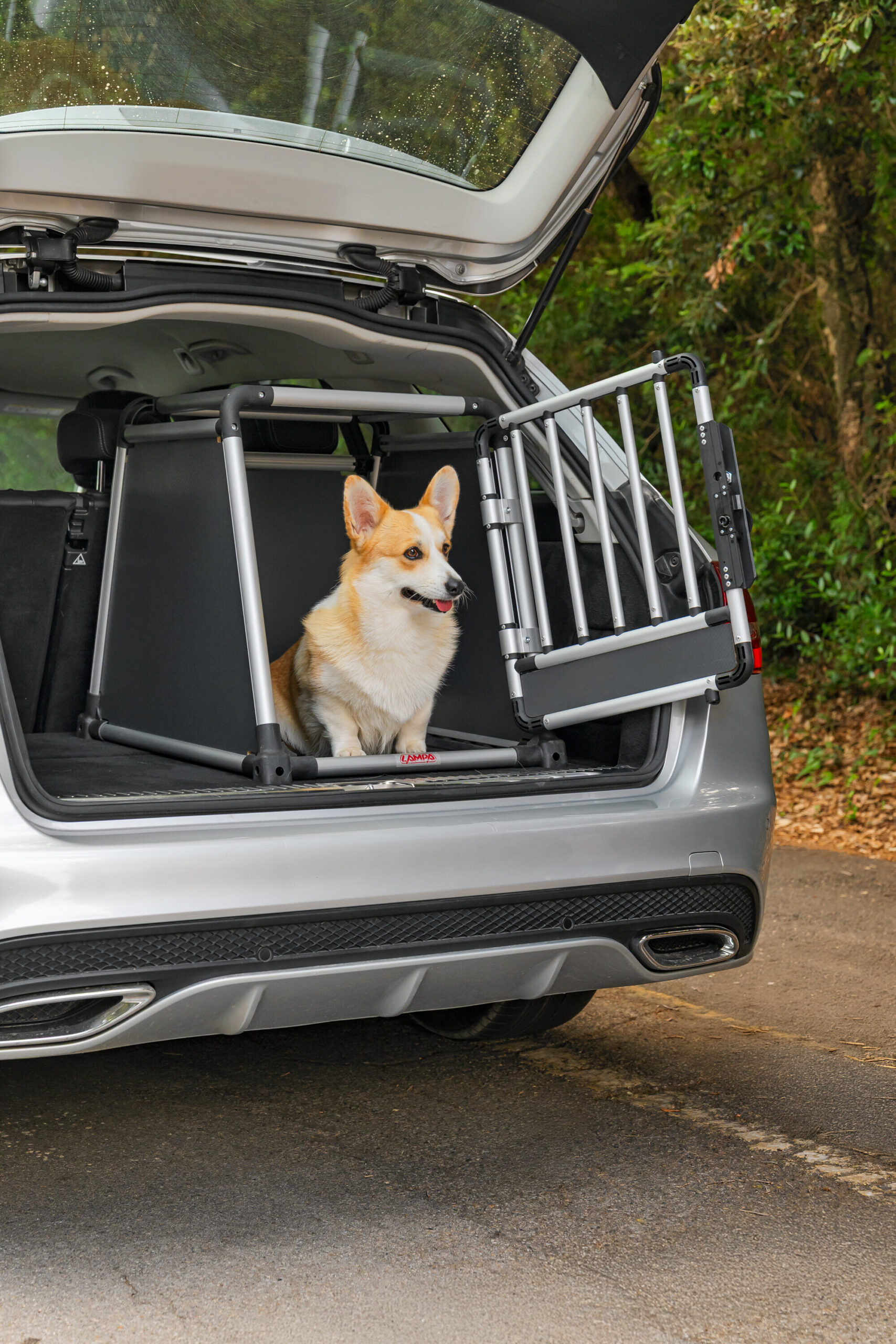 Premium, trasportino in lega di alluminio, specifico per il trasporto di animali in auto - Type 6 - 55 x 77 x H 60 cm - immagine 14