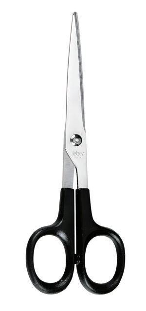 Forbici 17 cm con lama in acciaio inox