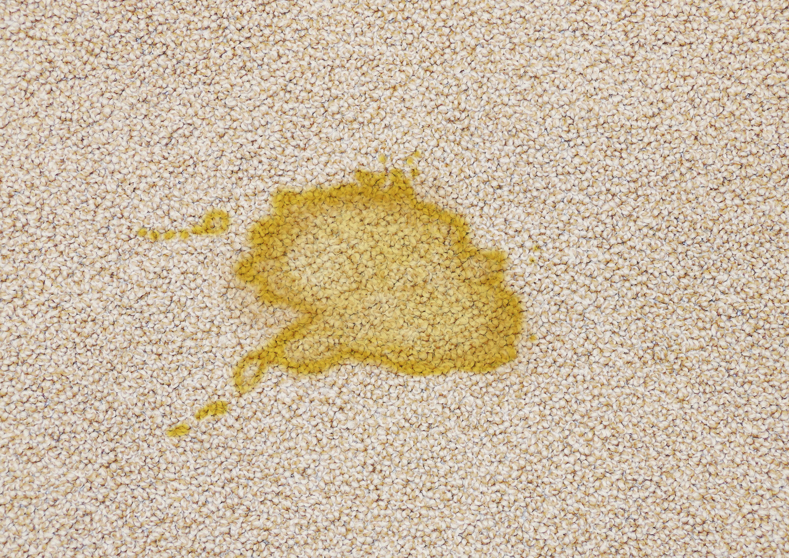 Kit animali in auto, la soluzione contro le macchie, i peli e gli odori - 500+59 ml - immagine 4