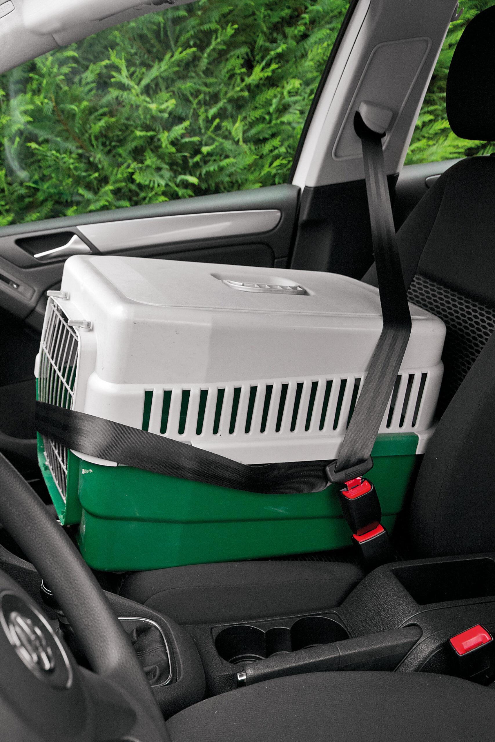 Zitto-2 Extension 5 Zitto-2 Extension - immagine 5