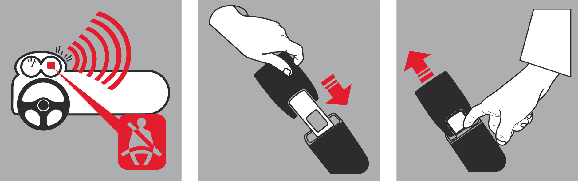 Zitto-2 Extension 6 Zitto-2 Extension - immagine 6