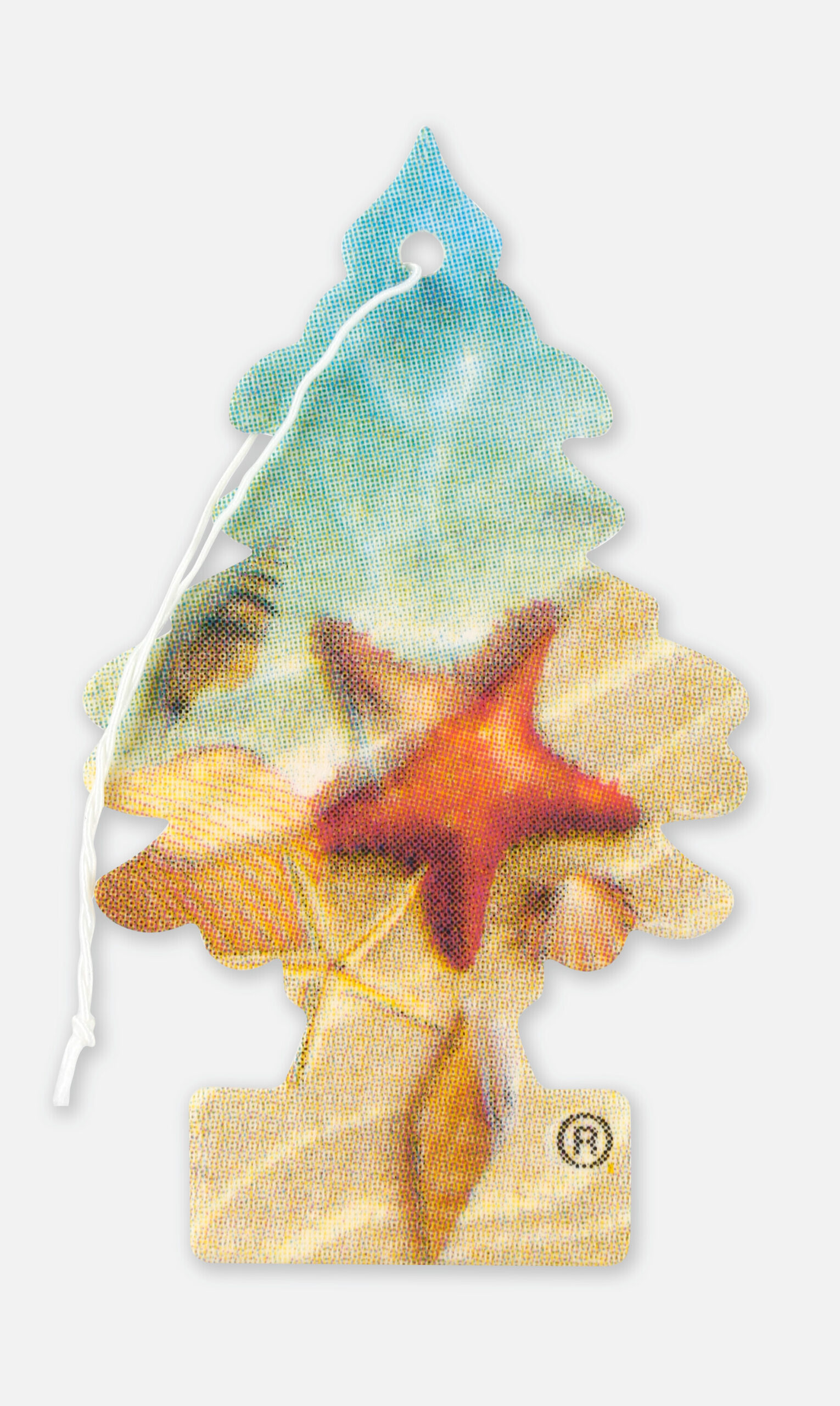 Arbre Magique - Paradise Beach - Confezione da 12 pezzi 2 Arbre Magique - Paradise Beach - Confezione da 12 pezzi - immagine 2