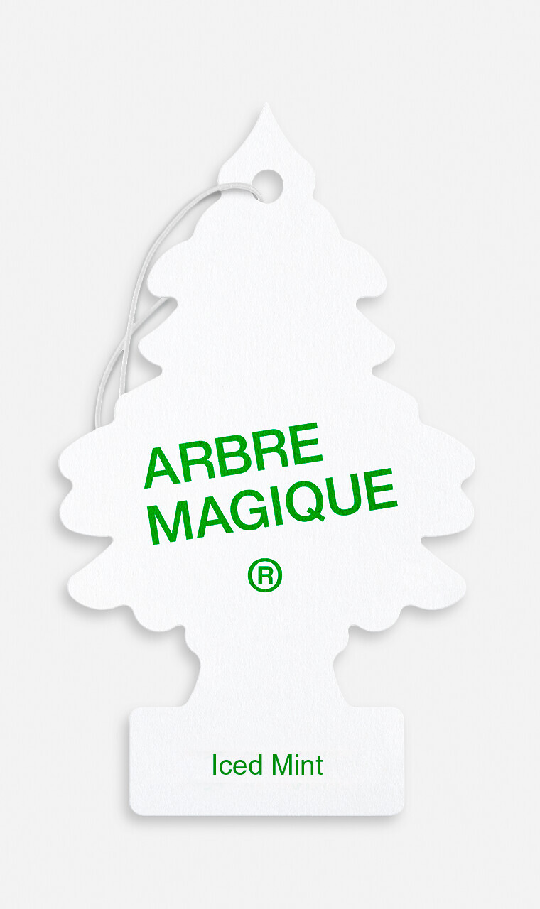 Arbre Magique - Iced Mint - Confezione da 12 pezzi 2 Arbre Magique - Iced Mint - Confezione da 12 pezzi - immagine 2